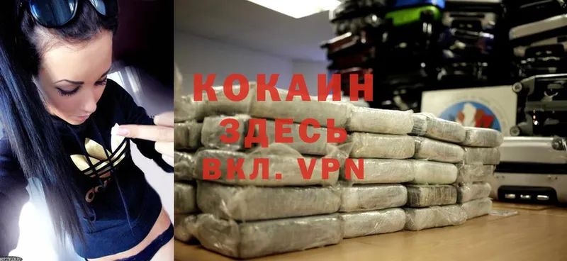 Cocaine 99%  OMG сайт  Камешково 